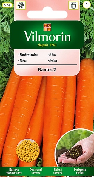 Vilmorin marchew-jadalna otoczkowane-nantes-2 nasiona sklep rajogrodnika
